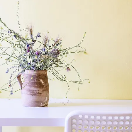 Carico' Парабита